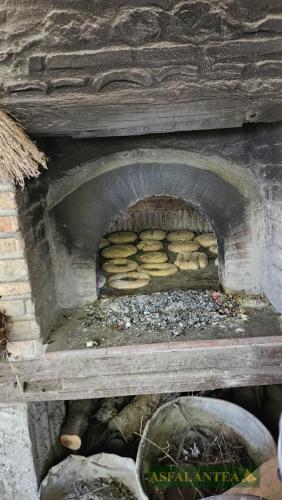 20240901-Giornata-del-Pane-WP-98