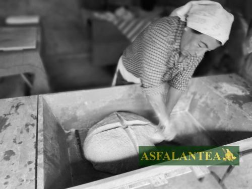 20240915-Giornata-del-Pane-WP-109