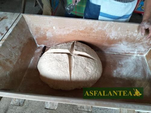 20240915-Giornata-del-Pane-WP-110