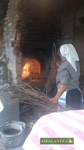 20240915-Giornata-del-Pane-WP-71