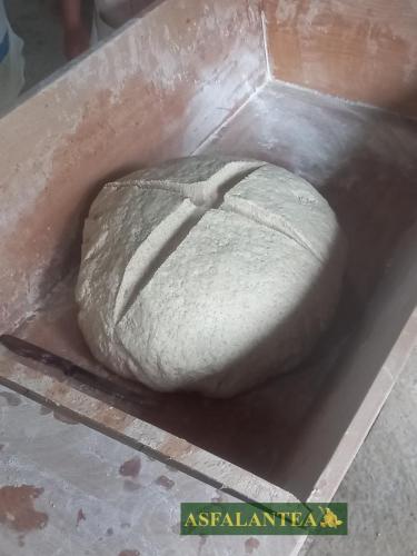 20240915-Giornata-del-Pane-WP-77