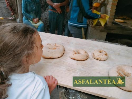 20240915-Giornata-del-Pane-WP-85