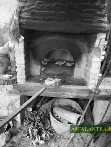20240915-Giornata-del-Pane-WP-96
