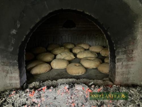 20240929-Giornata-del-Pane-WP-72