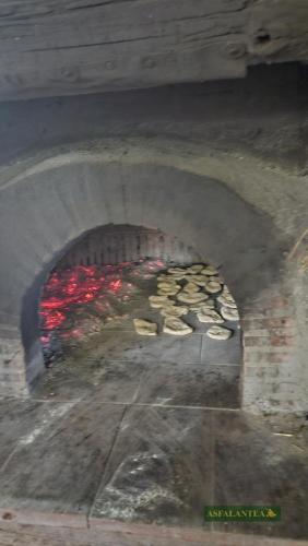20241006-Giornata-del-Pane-WP-110