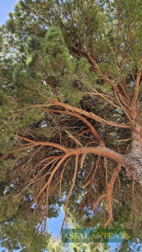 20250404-Giornata-del-Pane-WP-43