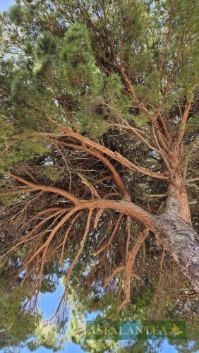 20250404-Giornata-del-Pane-WP-44