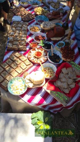 20250412-Giornata-del-Pane-WP-7