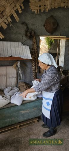 20250419-Giornata-del-Pane-WP-14