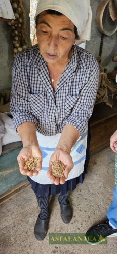 20250419-Giornata-del-Pane-WP-16