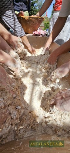 20250419-Giornata-del-Pane-WP-34