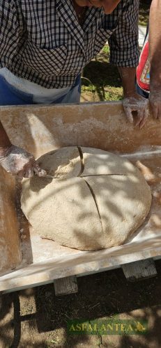 20250419-Giornata-del-Pane-WP-36