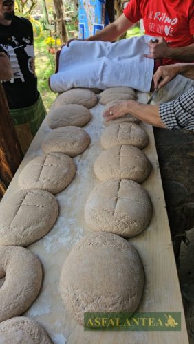 20250419-Giornata-del-Pane-WP-69