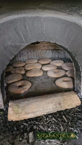 20250419-Giornata-del-Pane-WP-73