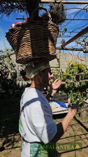 20250419-Giornata-del-Pane-WP-76