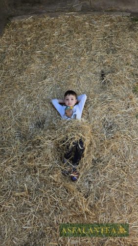 20250419-Giornata-del-Pane-WP-79