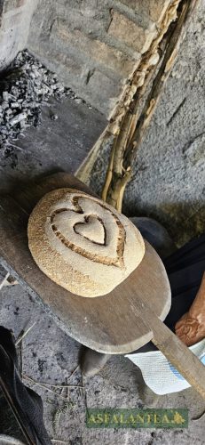 20250419-Giornata-del-Pane-WP-92