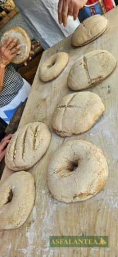 20250419-Giornata-del-Pane-WP-96