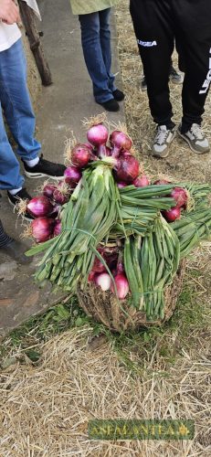 20250419-Giornata-del-Pane-WP-98