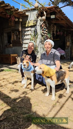 20250421-Giornata-del-Pane-WP-16