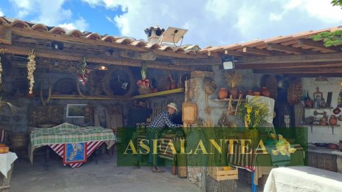 20250426-Giornata-del-Pane-WP-100