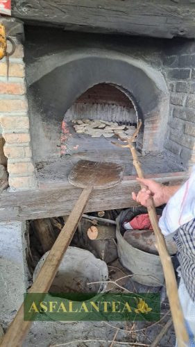 20250426-Giornata-del-Pane-WP-109