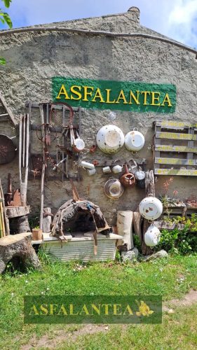 20250426-Giornata-del-Pane-WP-115