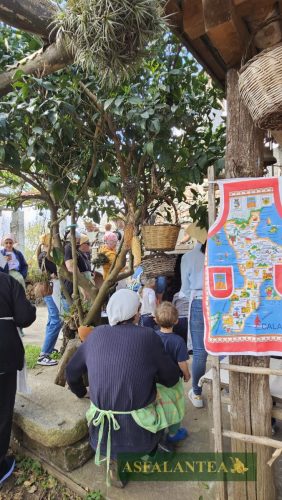 20250426-Giornata-del-Pane-WP-32