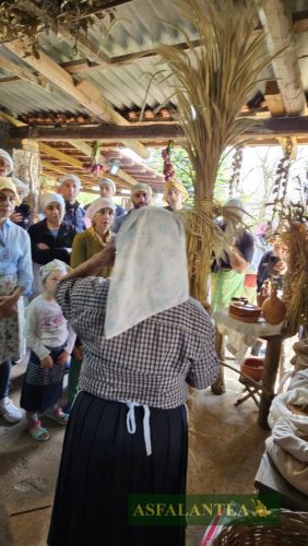 20250426-Giornata-del-Pane-WP-35