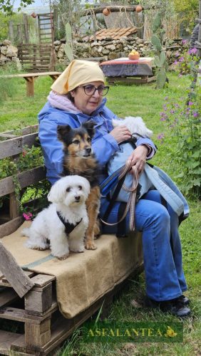 20250426-Giornata-del-Pane-WP-58