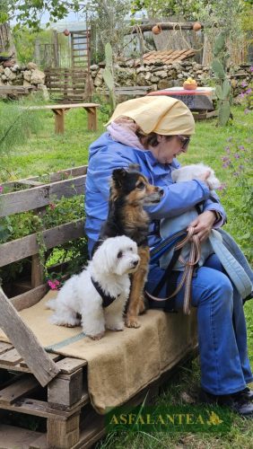 20250426-Giornata-del-Pane-WP-59