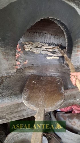 20250426-Giornata-del-Pane-WP-95