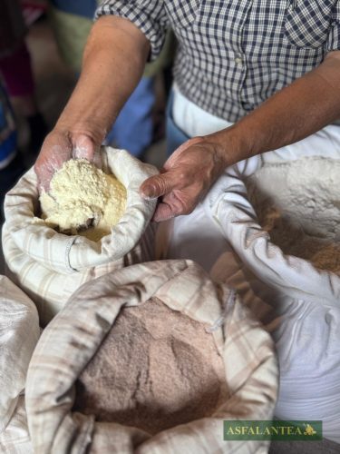 20250525-Giornata-del-Pane-WP-10