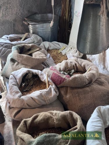 20250525-Giornata-del-Pane-WP-11