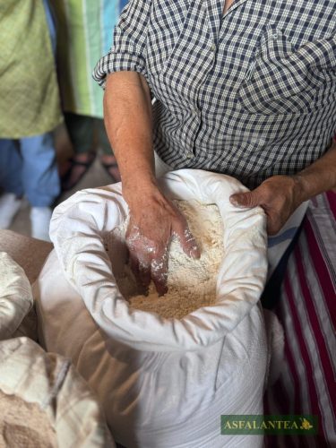 20250525-Giornata-del-Pane-WP-14