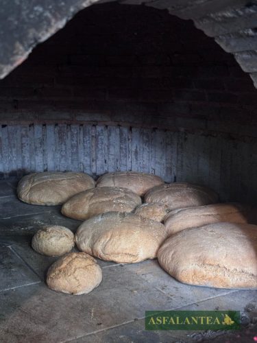 20250525-Giornata-del-Pane-WP-19