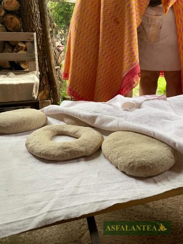 20250525-Giornata-del-Pane-WP-6