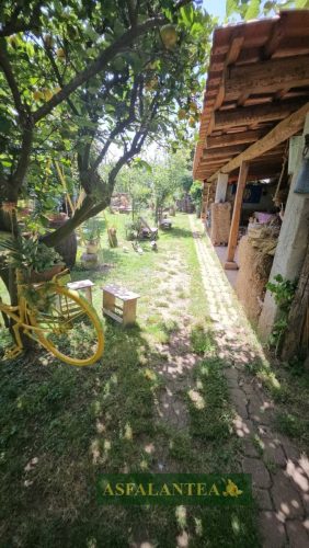 20250606-Giornata-del-Pane-WP-71