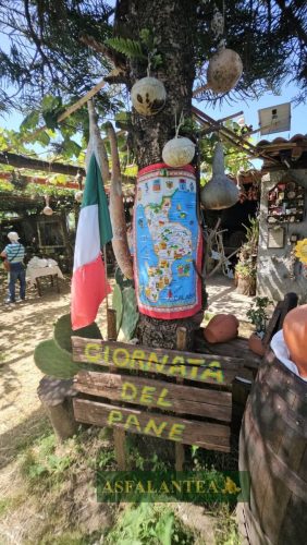 20250606-Giornata-del-Pane-WP-72