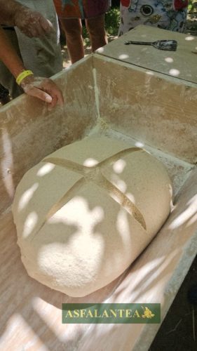 20250606-Giornata-del-Pane-WP-73