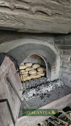 20250606-Giornata-del-Pane-WP-80