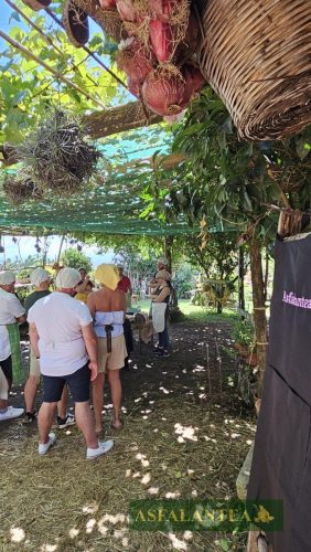 20250712-Giornata-del-Pane-WP-59