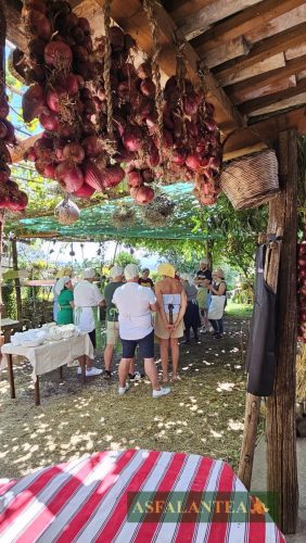 20250712-Giornata-del-Pane-WP-61