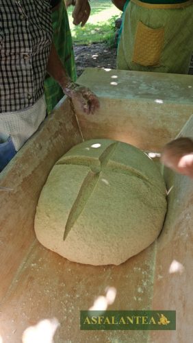 20250712-Giornata-del-Pane-WP-73