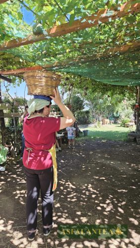 20250712-Giornata-del-Pane-WP-78