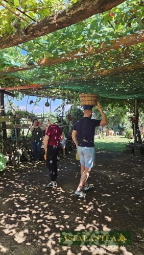 20250712-Giornata-del-Pane-WP-81