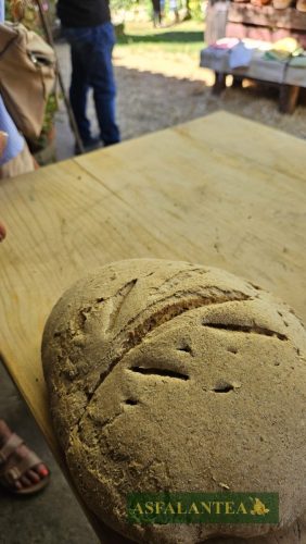 20250712-Giornata-del-Pane-WP-95