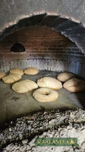 20250712-Giornata-del-Pane-WP-96