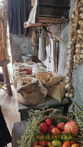 20250726-Giornata-del-Pane-WP-14