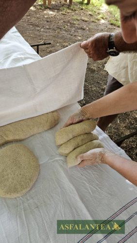 20250726-Giornata-del-Pane-WP-33